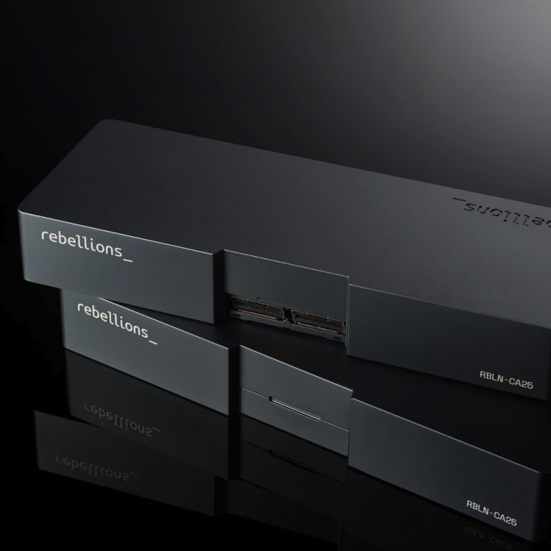 리벨리온 ATOM Max 가속기 카드